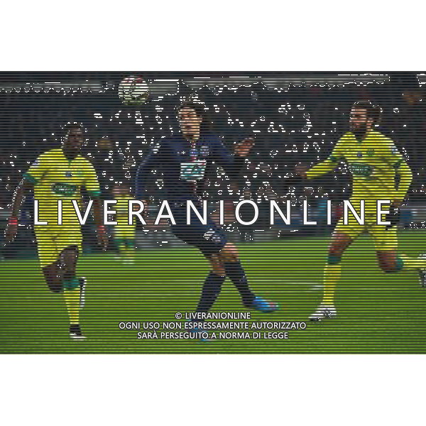 Edinson CAVANI - 11.02.2015 - Paris Saint Germain / Nantes - 1/8Finale Cupe de France- Photo : Dave Winter / Icon Sport AG ALDO LIVERANI SAS ONLY ITALY