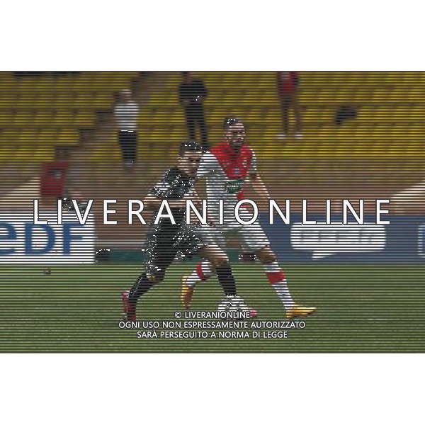 Yannick Ferreira Carrasco / Romain Danze - 11.02.2015 - Monaco / Rennes - 1/8Finale Coupe de France- Photo : Sebastien Nogier / Icon Sport ag aldo liverani sas only italy