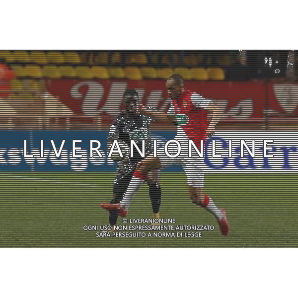 Fabinho / Paul Georges Ntep - 11.02.2015 - Monaco / Rennes - 1/8Finale Coupe de France- Photo : Sebastien Nogier / Icon Sport ag aldo liverani sas only italy