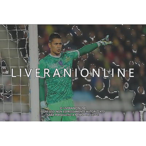 Alphonse AREOLA - 14.02.2015 - Nantes / Bastia - 25eme journee de Ligue 1 Photo : Vincent Michel / Icon Sport AG ALDO LIVERANI SAS ONLY ITALY