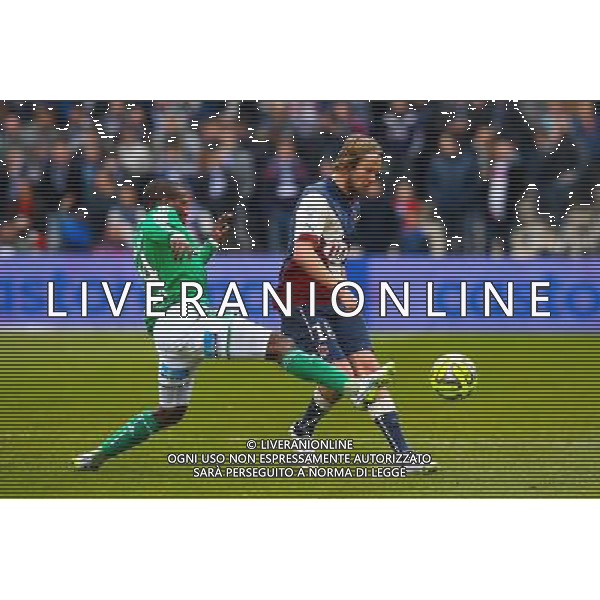 Jaroslav Plasil - 15.02.2015 - Bordeaux / Saint Etienne - 25eme journee de Ligue 1 Photo : Manuel Blondeau / Icon Sport AG ALDO LIVERANI SAS ONLY ITALY