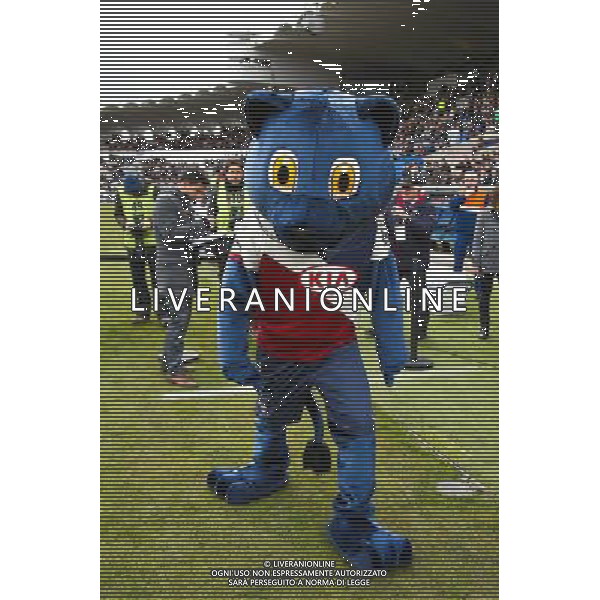 Mascotte Bengi - 15.02.2015 - Bordeaux / Saint Etienne - 25eme journee de Ligue 1 Photo : Manuel Blondeau / Icon Sport AG ALDO LIVERANI SAS ONLY ITALY