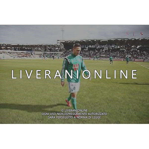 Mevlut Erding - 15.02.2015 - Bordeaux / Saint Etienne - 25eme journee de Ligue 1 Photo : Manuel Blondeau / Icon Sport AG ALDO LIVERANI SAS ONLY ITALY