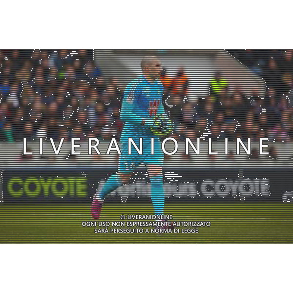 Stephane Ruffier - 15.02.2015 - Bordeaux / Saint Etienne - 25eme journee de Ligue 1 Photo : Manuel Blondeau / Icon Sport AG ALDO LIVERANI SAS ONLY ITALY