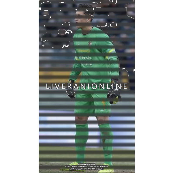 67¡ Viareggio Cup Coppa Carnevale Finale Pisa - 17.02.2015 Inter-Verona Nella Foto:Gollini Pierluigi /Ph.Vitez-Ag. Aldo Liverani