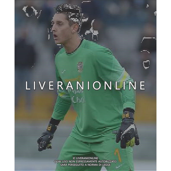 67¡ Viareggio Cup Coppa Carnevale Finale Pisa - 17.02.2015 Inter-Verona Nella Foto:Gollini Pierluigi /Ph.Vitez-Ag. Aldo Liverani