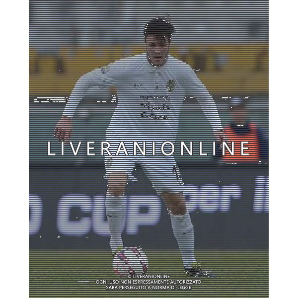 67¡ Viareggio Cup Coppa Carnevale Finale Pisa - 17.02.2015 Inter-Verona Nella Foto:Moretto Italo /Ph.Vitez-Ag. Aldo Liverani