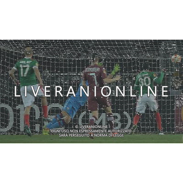UEFA Europa League 2014/2015 Round of 32 Torino - 19.02.2015 Torino-Athletic Bilbao Nella Foto:williams gol /Ph.Vitez-Ag. Aldo Liverani