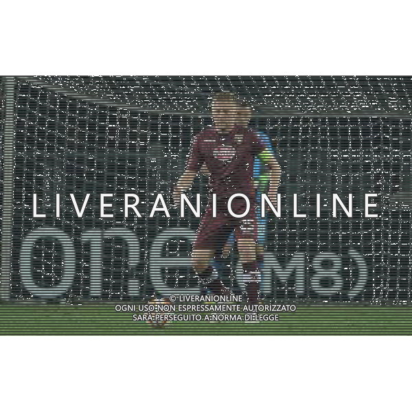UEFA Europa League 2014/2015 Round of 32 Torino - 19.02.2015 Torino-Athletic Bilbao Nella Foto:Glik Kamil /Ph.Vitez-Ag. Aldo Liverani