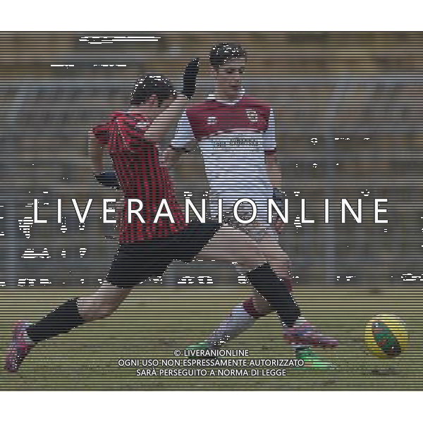Campionato di Calcio Lega Pro Girone B 2014/2015 26 Giornata Piacenza - 22.02.2015 Pro Piacenza-Reggiana Nella Foto:sabotic /Ph.Vitez-Ag. Aldo Liverani