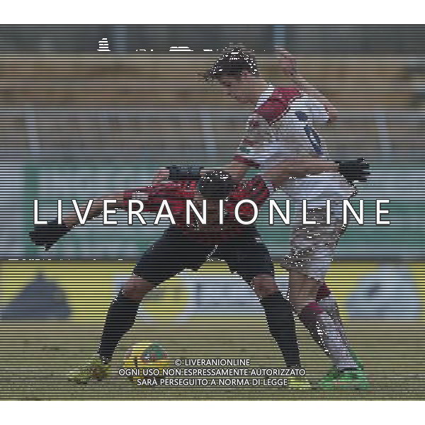 Campionato di Calcio Lega Pro Girone B 2014/2015 26 Giornata Piacenza - 22.02.2015 Pro Piacenza-Reggiana Nella Foto:speziale sabotic /Ph.Vitez-Ag. Aldo Liverani