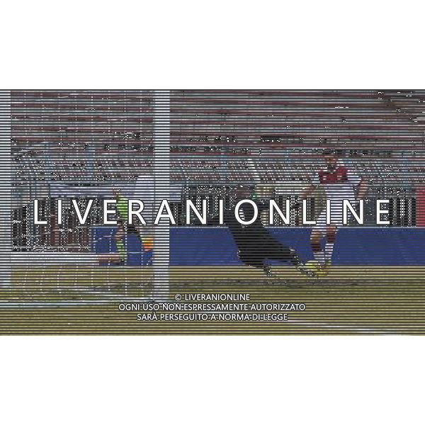 Campionato di Calcio Lega Pro Girone B 2014/2015 26 Giornata Piacenza - 22.02.2015 Pro Piacenza-Reggiana Nella Foto:occasione tremolada /Ph.Vitez-Ag. Aldo Liverani