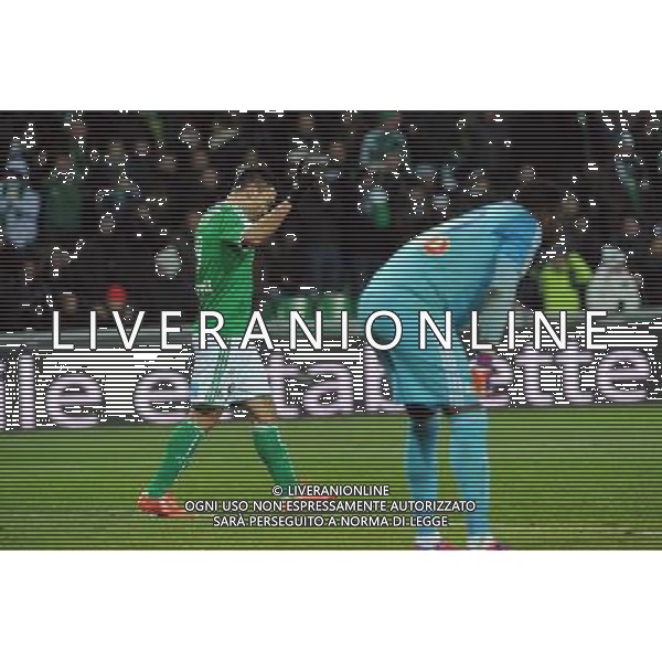 Mevlut ERDING - 22.02.2015 - Saint Etienne / Marseille - 26eme journee de Ligue1 Photo : Jean Paul Thomas / Icon Sport AG ALDO LIVERANI SAS ONLY ITALY *** Local Caption ***