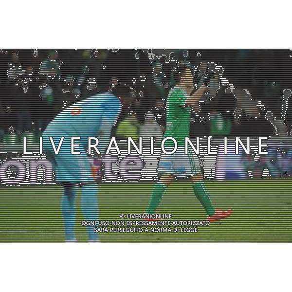 Mevlut ERDING - 22.02.2015 - Saint Etienne / Marseille - 26eme journee de Ligue1 Photo : Jean Paul Thomas / Icon Sport AG ALDO LIVERANI SAS ONLY ITALY *** Local Caption ***