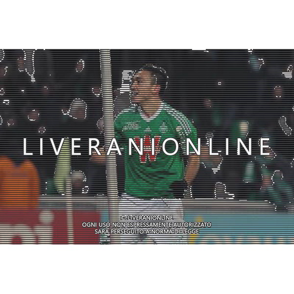 Mevlut ERDING - 22.02.2015 - Saint Etienne / Marseille - 26eme journee de Ligue1 Photo : Jean Paul Thomas / Icon Sport AG ALDO LIVERANI SAS ONLY ITALY *** Local Caption ***