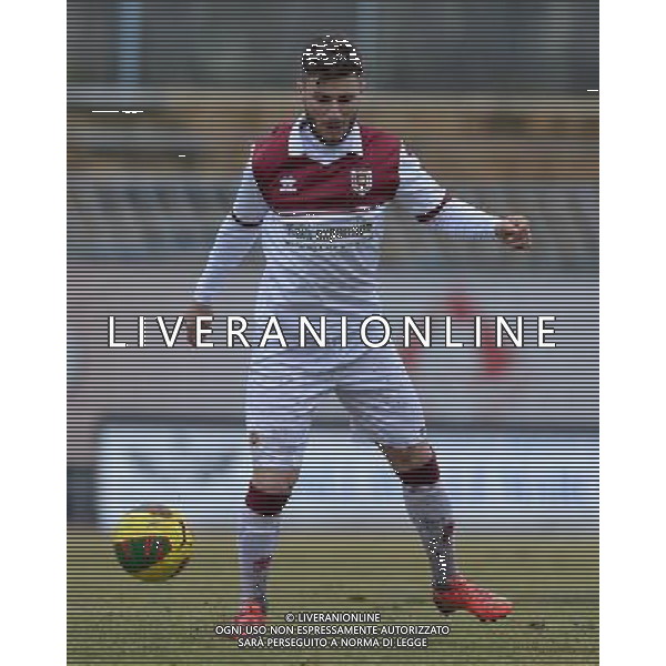 Campionato di Calcio Lega Pro Girone B 2014/2015 26 Giornata Piacenza - 22.02.2015 Pro Piacenza-Reggiana Nella Foto:Giannone Luca /Ph.Vitez-Ag. Aldo Liverani