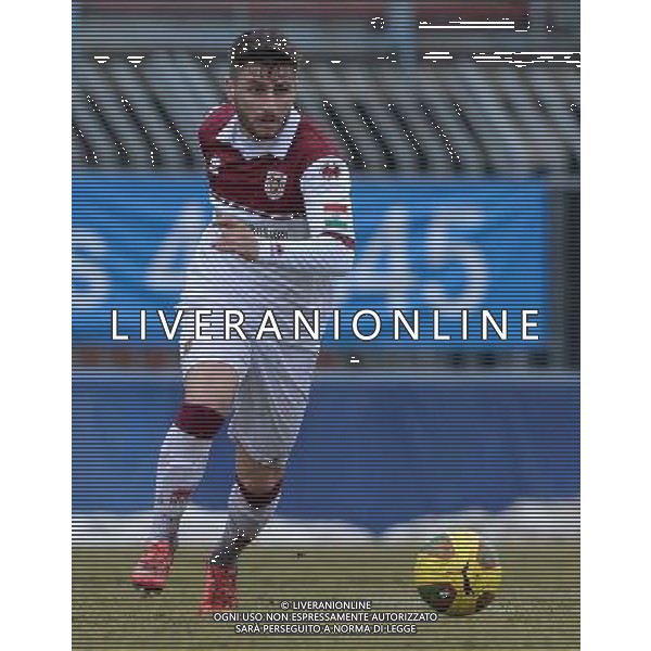 Campionato di Calcio Lega Pro Girone B 2014/2015 26 Giornata Piacenza - 22.02.2015 Pro Piacenza-Reggiana Nella Foto:Giannone Luca /Ph.Vitez-Ag. Aldo Liverani