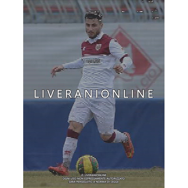 Campionato di Calcio Lega Pro Girone B 2014/2015 26 Giornata Piacenza - 22.02.2015 Pro Piacenza-Reggiana Nella Foto:Giannone Luca /Ph.Vitez-Ag. Aldo Liverani