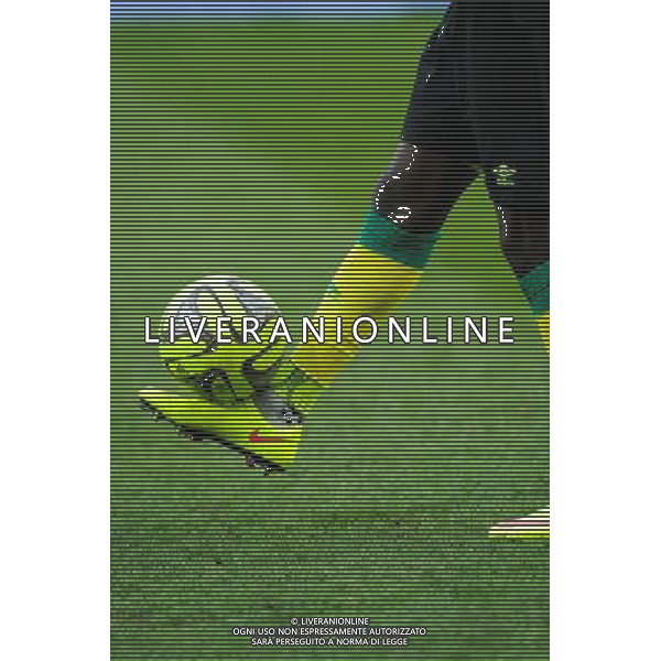 ILLUSTRATION - 22.02.2015 - Lyon / Nantes - 26eme journee de Ligue1 Photo : Jean Paul Thomas / Icon Sport AG ALDO LIVERANI SAS ONLY ITALY