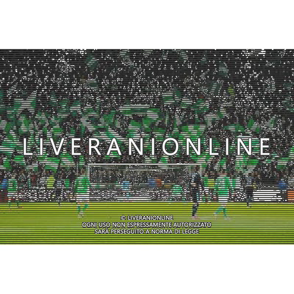 Supporters Saint Etienne - 22.02.2015 - Saint Etienne / Marseille - 26eme journee de Ligue1 Photo : Jean Paul Thomas / Icon Sport AG ALDO LIVERANI SAS ONLY ITALY