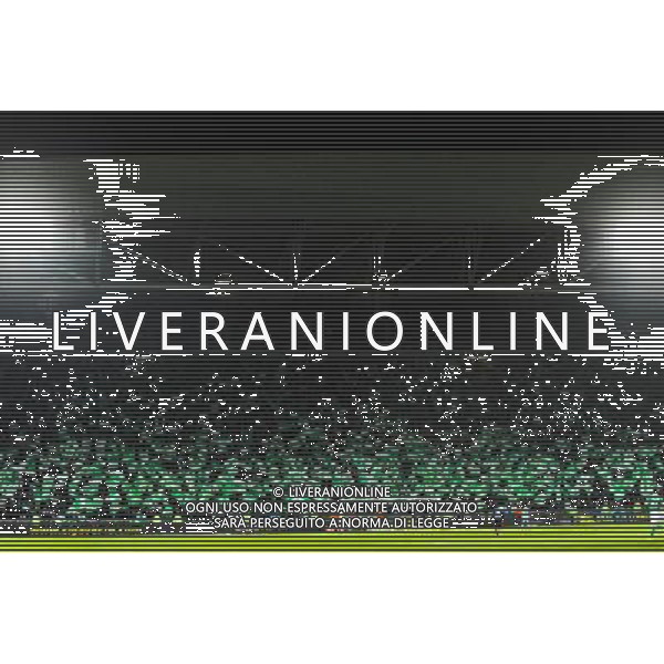 Supporters Saint Etienne - 22.02.2015 - Saint Etienne / Marseille - 26eme journee de Ligue1 Photo : Jean Paul Thomas / Icon Sport AG ALDO LIVERANI SAS ONLY ITALY