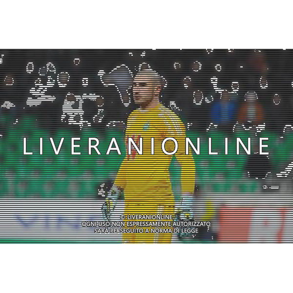 Stephane RUFFIER - 22.02.2015 - Saint Etienne / Marseille - 26eme journee de Ligue1 Photo : Jean Paul Thomas / Icon Sport AG ALDO LIVERANI SAS ONLY ITALY