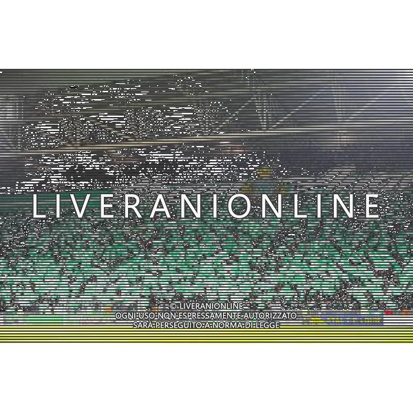 Supporters Saint Etienne - 22.02.2015 - Saint Etienne / Marseille - 26eme journee de Ligue1 Photo : Jean Paul Thomas / Icon Sport AG ALDO LIVERANI SAS ONLY ITALY