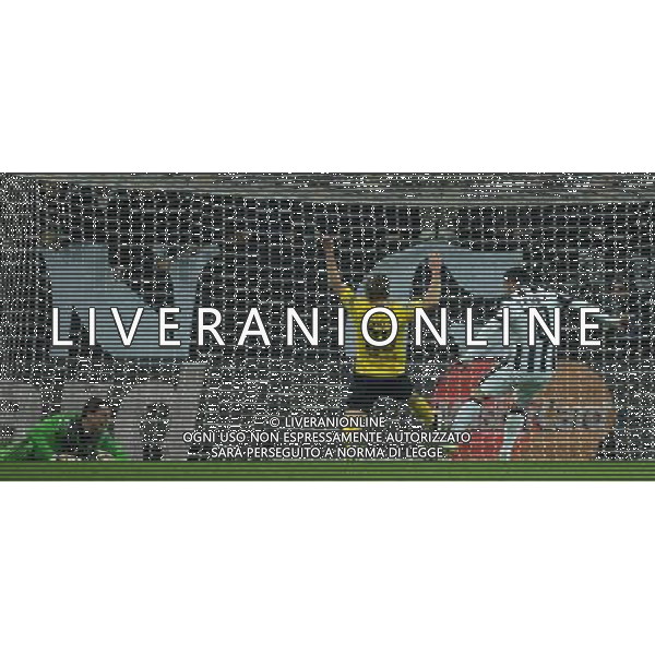 UEFA Champions League 2014/2015 Ottavi di Finale Andata Torino - 24.02.2015 Juventus-Borussia Dortmund Nella Foto: il gol di carlos tevez /Ph.Vitez-Ag. Aldo Liverani