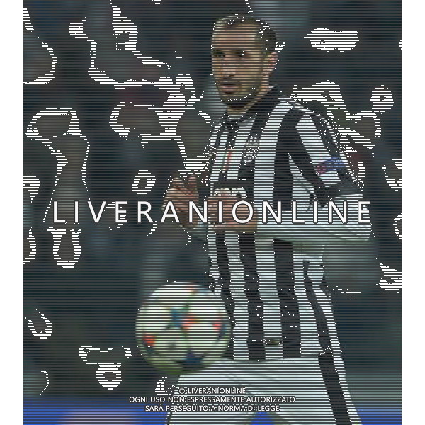 UEFA Champions League 2014/2015 Ottavi di Finale Andata Torino - 24.02.2015 Juventus-Borussia Dortmund Nella Foto:Chiellini Giorgio /Ph.Vitez-Ag. Aldo Liverani
