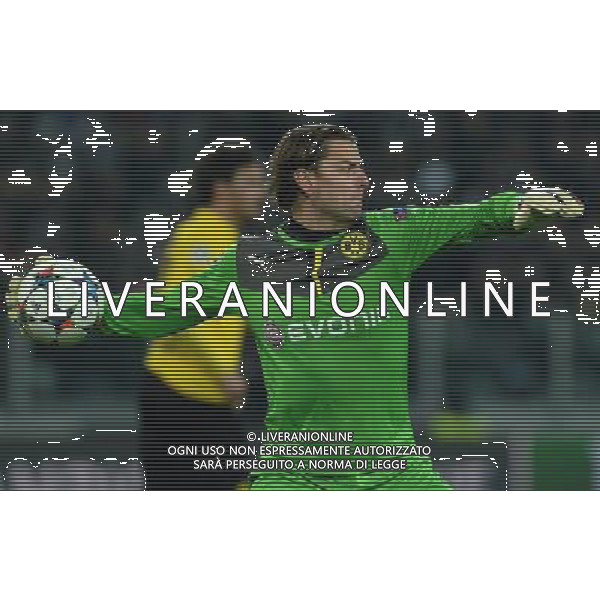 UEFA Champions League 2014/2015 Ottavi di Finale Andata Torino - 24.02.2015 Juventus-Borussia Dortmund Nella Foto:Weidenfeller Roman /Ph.Vitez-Ag. Aldo Liverani
