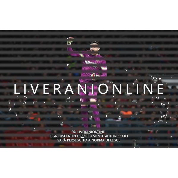Joie Danijel SUBASIC - 25.02.2015 - Arsenal / Monaco - 1/8Finale Champions League Photo : Winter Press / Icon Sport ag aldo liverani sas only italy