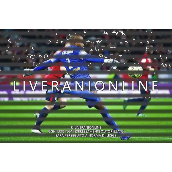 Vincent ENYEAMA - 28.02.2015 - Lille / Lyon - 27eme journee de Ligue 1 - Photo : Dave Winter / Icon Sport /Agenzia Aldo Liverani sas - ITALY ONLY - EDITORIAL USE ONLY