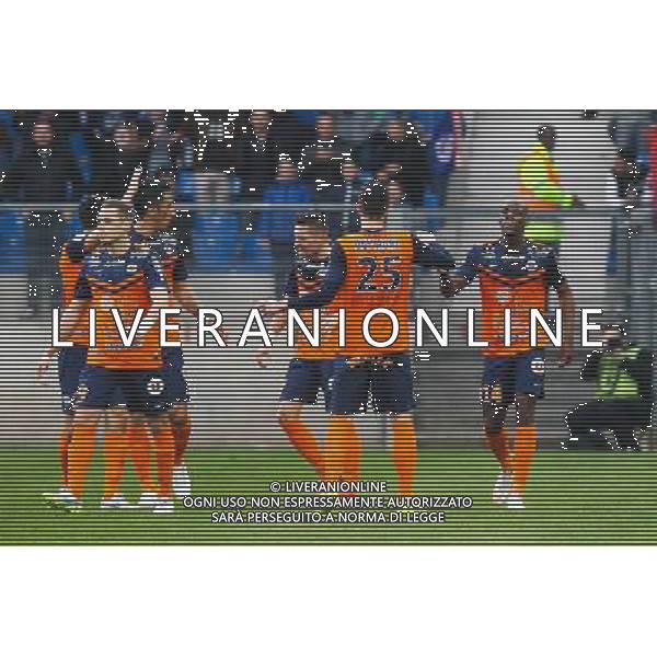 Joie Montpellier - 01.03.2015 - Montpellier / Nice - 27eme journee de Ligue 1 Photo : Andre Delon / Icon Sport AG ALDO LIVERANI SAS ONLY ITALY