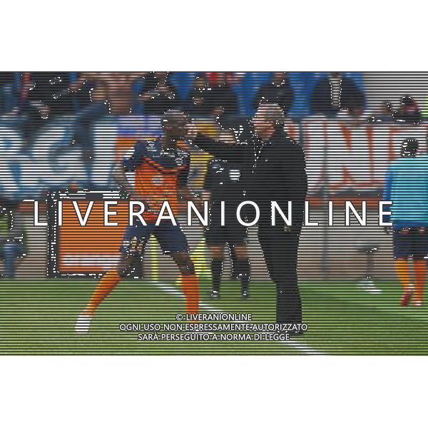 Joie Bryan Dabo / Rolland COURBIS - 01.03.2015 - Montpellier / Nice - 27eme journee de Ligue 1 Photo : Andre Delon / Icon Sport AG ALDO LIVERANI SAS ONLY ITALY