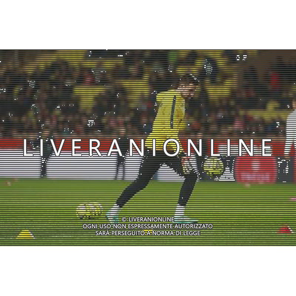 Maarten Stekelenburg - 01.02.2015 - Monaco / Paris Saint Germain - 27eme journee de Ligue 1 - Photo : Serge Haouzi / Icon Sport AG ALDO LIVERANI SAS ONLY ITALY