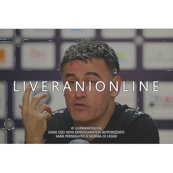 Christophe Galtier - 28.02.2015 - Toulouse / Saint Etienne - 27eme journee de Ligue 1 - Photo : Manuel Blondeau / Icon Sport AG ALDO LIVERANI SAS ONLY ITALY