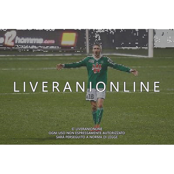 Fabien Lemoine - 28.02.2015 - Toulouse / Saint Etienne - 27eme journee de Ligue 1 - Photo : Manuel Blondeau / Icon Sport AG ALDO LIVERANI SAS ONLY ITALY