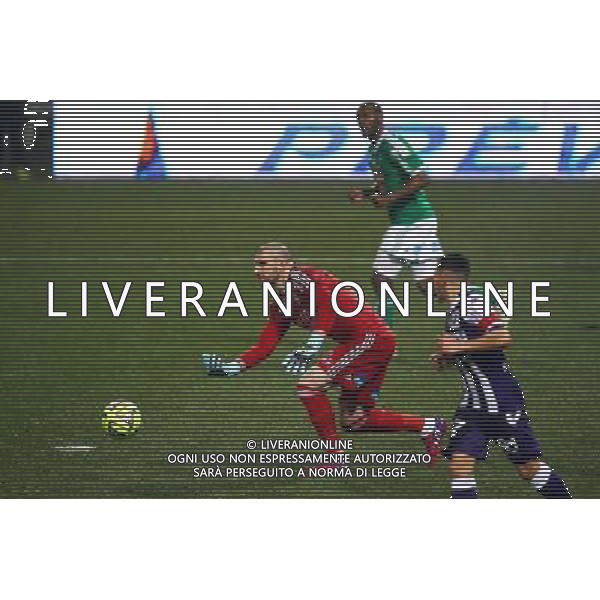 Stephane Ruffier - 28.02.2015 - Toulouse / Saint Etienne - 27eme journee de Ligue 1 - Photo : Manuel Blondeau / Icon Sport AG ALDO LIVERANI SAS ONLY ITALY