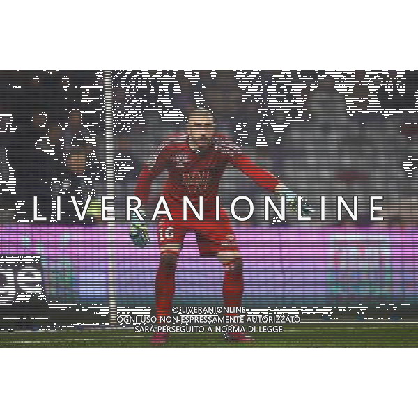 Stephane Ruffier - 28.02.2015 - Toulouse / Saint Etienne - 27eme journee de Ligue 1 - Photo : Manuel Blondeau / Icon Sport AG ALDO LIVERANI SAS ONLY ITALY