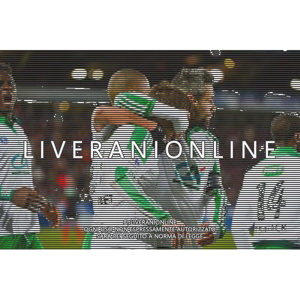 Joie Benjamin CORGNET - 03.03.2015 - Boulogne / Saint Etienne - 1/4Finale Coupe de France Photo : Dave Winter / Icon Sport /Agenzia Aldo Liverani sas - ITALY ONLY - EDITORIAL USE ONLY