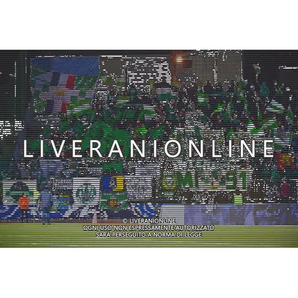 Supporters Saint Etienne - 03.03.2015 - Boulogne / Saint Etienne - 1/4Finale Coupe de France Photo : Dave Winter / Icon Sport /Agenzia Aldo Liverani sas - ITALY ONLY - EDITORIAL USE ONLY