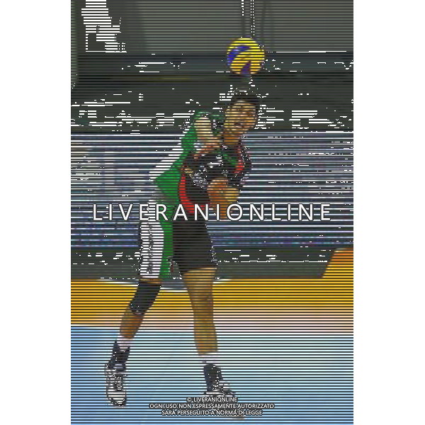Milos Vemic - 05.03.2015 - Toulouse / Tourcoing - 23eme journee de Ligue A Photo : Manuel Blondeau / Icon Sport /Agenzia Aldo Liverani sas - ITALY ONLY - EDITORIAL USE ONLY