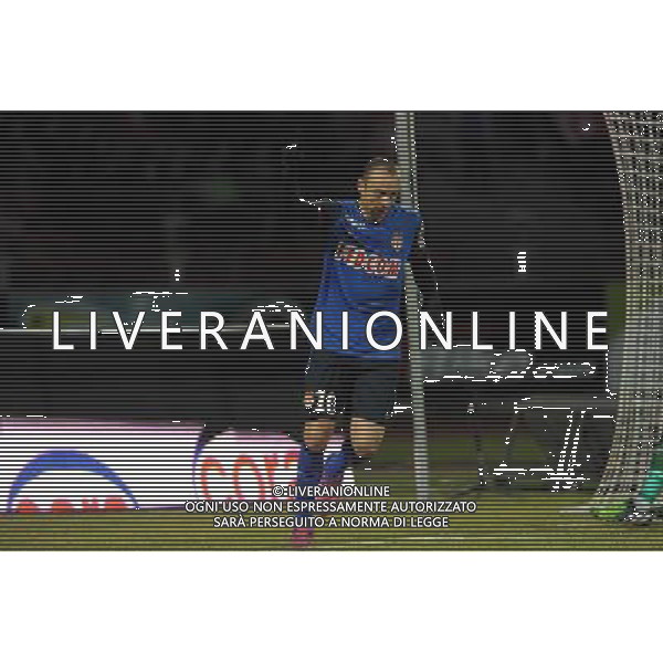 JOIE DE Dimitar BERBATOV - 07.03.2015 - Evian Thonon / Monaco - 28eme journee de Ligue 1 Photo : Jean Paul Thomas / Icon Sport /Agenzia Aldo Liverani sas - ITALY ONLY - EDITORIAL USE ONLY