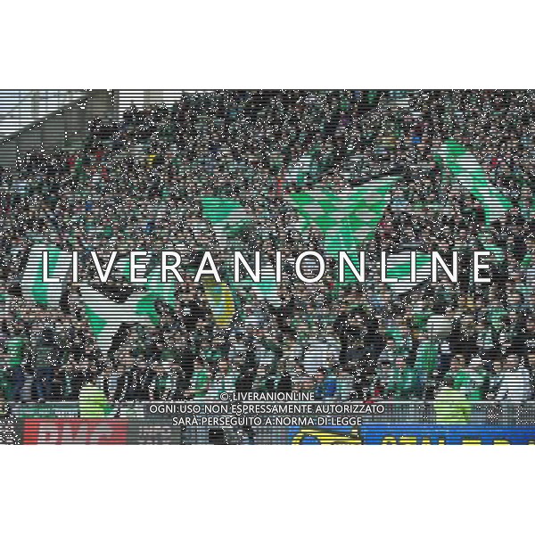 Supporters Saint Etienne - 08.03.2015 - Saint Etienne / Lorient - 28eme journee de Ligue 1 Photo : Jean Paul Thomas / Icon Sport AG ALDO LIVERANI SAS ONLY ITALY