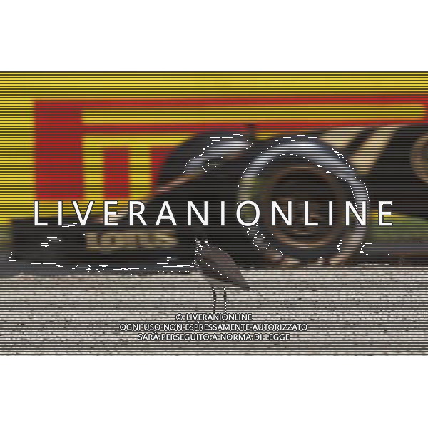 A bird watches Pastor Maldonado (VEN) Lotus F1 E23 pass. 13.03.2015. Formula 1 World Championship, Rd 1, Australian Grand Prix, Albert Park, Melbourne, Australia, Practice Day. AG ALDO LIVERANI SAS ONLY ITALY