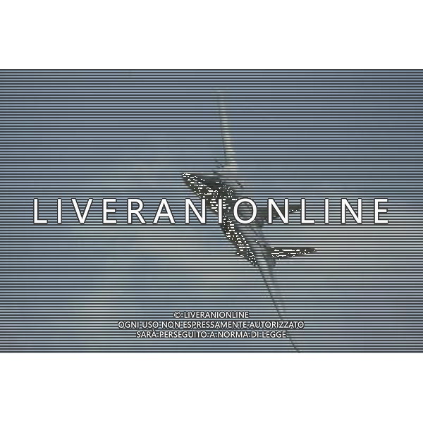 NELLA FOTO AEREOPORTI-AEREI DI LINEA-MILITARI IFC-AGENZIA ALDO LIVERANI