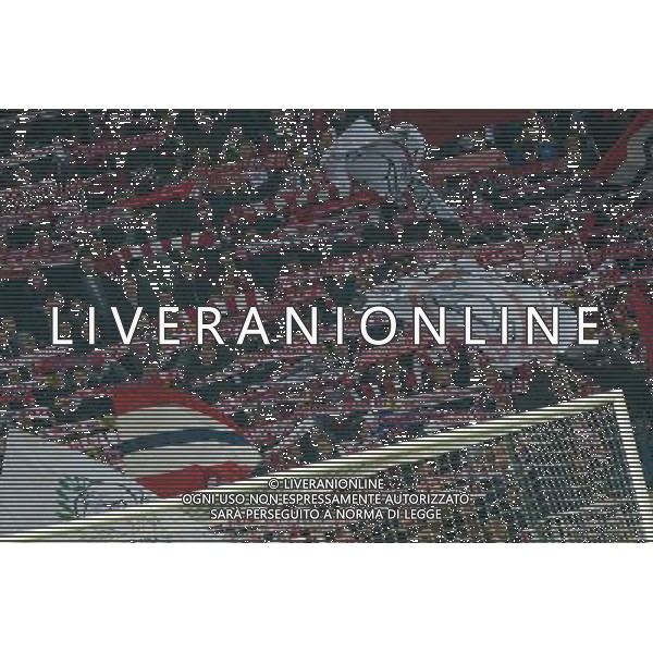 Supporters Lille - 15.03.2015 - Lille / Rennes - 29e journee Ligue 1 Photo : Andre Ferreira / Icon Sport AG ALDO LIVERANI SAS ONLY ITALY