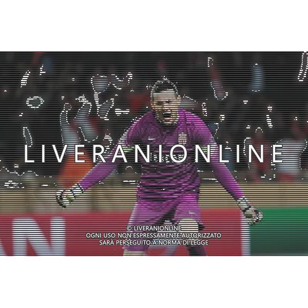 Joie Danijel SUBASIC - 17.03.2015 - Monaco / Arsenal - 1/8Finale Retour Champions League Photo : Jean Christophe Magnenet / Icon Sport AG ALDO LIVERANI SAS ONLY ITALY