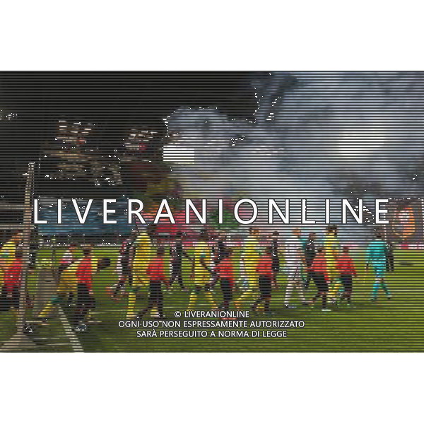 Supporters Rennes - Illustration Entree des Joueurs - 21.03.2015 - Rennes / Nantes - 30eme journee de Ligue 1 - Photo : Vincent Michel / Icon Sport AG ALDO LIVERANI SAS ONLY ITALY