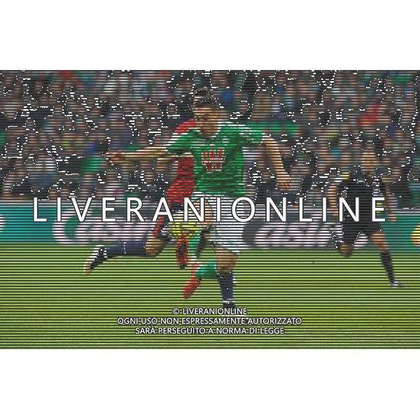 Mevlut ERDING - 22.03.2015 - Saint Etienne / Lille - 30eme journee de Ligue 1 Photo : Jean Paul Thomas / Icon Sport AG ALDO LIVERANI SAS ONLY ITALY
